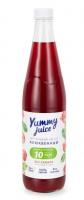Нектар Клюквенный без сахара Yummy Juice 500мл от магазина Дары Алтая